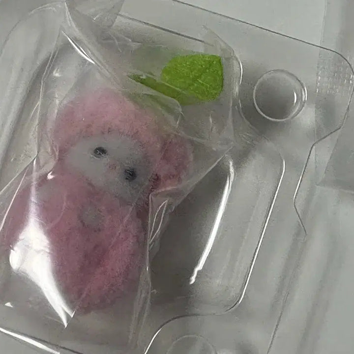 [BUNJANG] Sylvanian Families Cherry Marshmallow Cat Plush Keyring Bundle Set / 최저가 오늘만 할인 실바니안 과일파티 체리 산리오 쉬폰 일괄가격