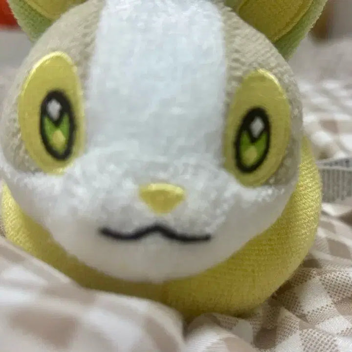 [BUNJANG] Pokemon Center Hand-Washed Plush / 멍파치 손세탁 인형