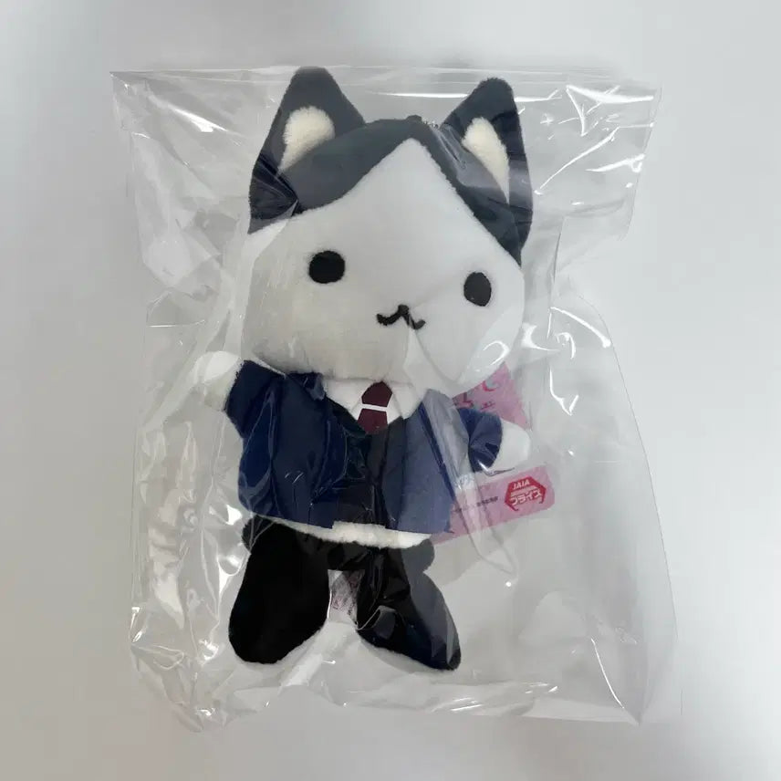 [BUNJANG] Mutsumi Asuma Plush / 내가 인기있어서 어쩌자는 거야 무츠미 아스마 누이