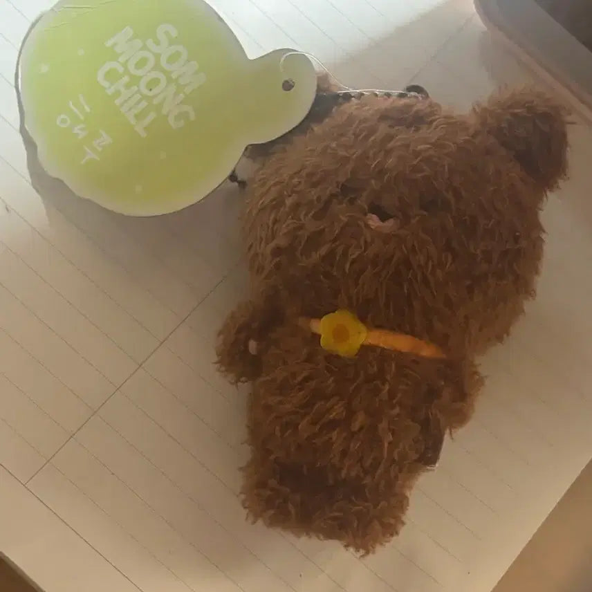 [BUNJANG] Haechan Doll / 해푸 해찬인형 양도 1.2