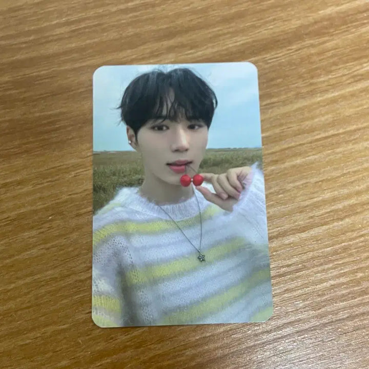 [BUNJANG] Xdinary Heroes Junseo Inga Studio Photocard Euphoria Music Core M Countdown Music Bank The Show Show Champion / 알디원 준서 인가 공방 포카 / 유포리아 음중 엠카 뮤뱅 더쇼 쇼챔