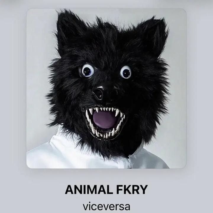 [BUNJANG] Versace Animal Print Limited Edition Numbered CD / 바이스벌사 animal fkry 초판 넘버링  cd(배송비무료)
