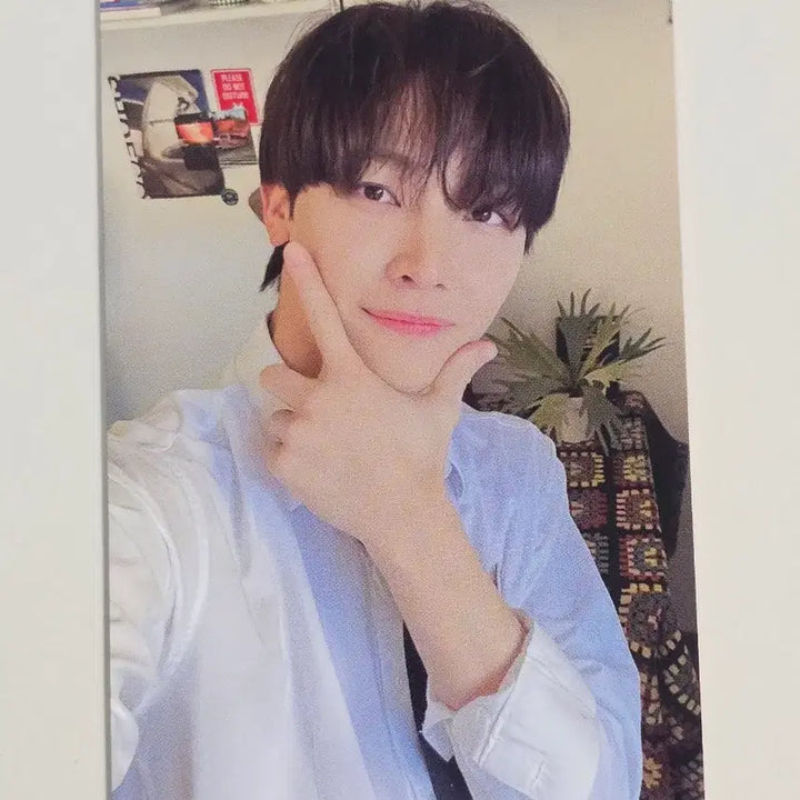 [BUNJANG] ENHYPEN Nicholas First Howling Photocard / 앤팀 니콜라스 포카 포토카드 퍼스트하울링 FIRST HOWLING 앨범