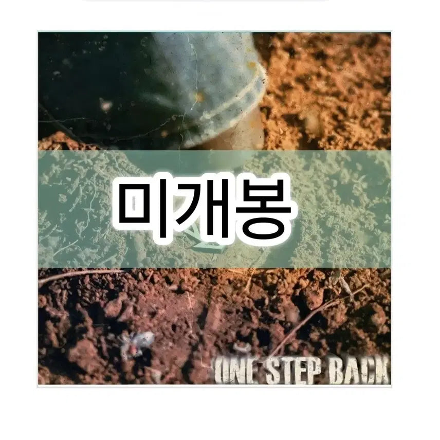 [BUNJANG] KNOCKOUT ONE STEP BACK Sealed CD Album / KNOCKOUT 넉다운-ONE STEP BACK