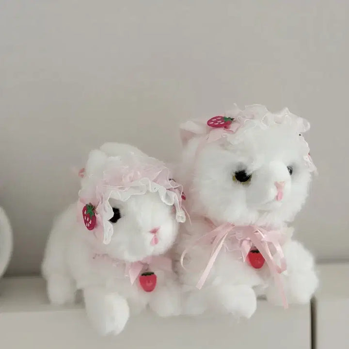 [BUNJANG] Barbados Cat Doll 2 pcs + Headwear 2 pcs Set / 바브드묘 인형 2개 +헤도레 2개 set