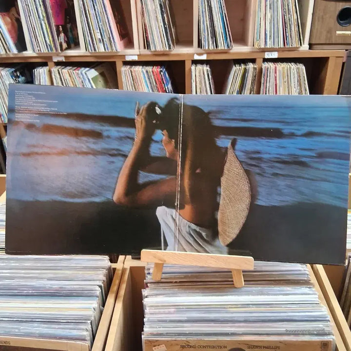 [BUNJANG] Linda Ronstadt Hasten Down The Wind LP / 소장가치 게이트폴더 린다 론스타트 LP  할인