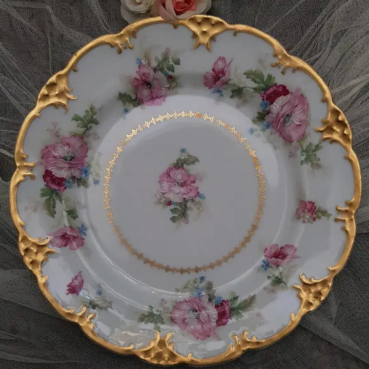 [BUNJANG] Haviland Limoges Enamel Painting Dinner Plate / 프랑스하빌랜드 리모즈