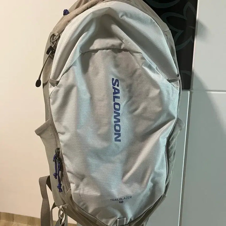 [BUNJANG] Salomon Trailblazer 10 Backpack Grey / 살로몬 트레일블레이저 10 그레이 백팩