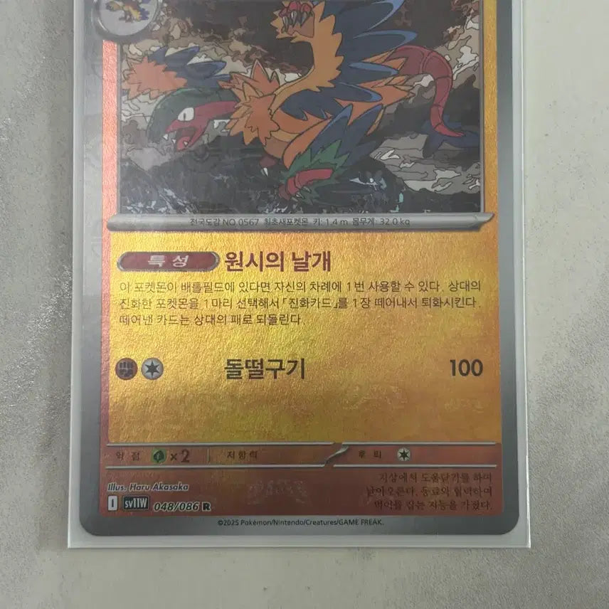 [BUNJANG] Akhenos Master Ball / 아케노스 마스터볼