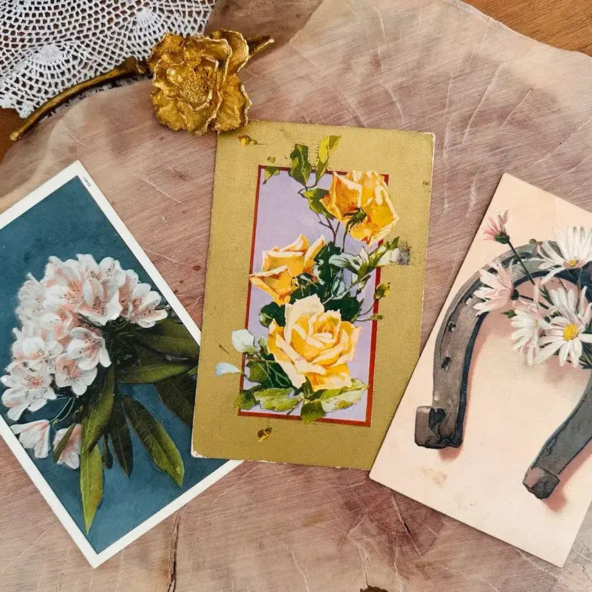[BUNJANG] Vintage Postcard Flower Set (3 pcs) / 빈티지엽서 플라워 3장함께