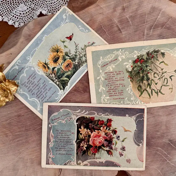 [BUNJANG] Vintage Flower Bouquet Postcards Set (3 Cards) / 빈티지플라워엽서 다발꽃3장함께