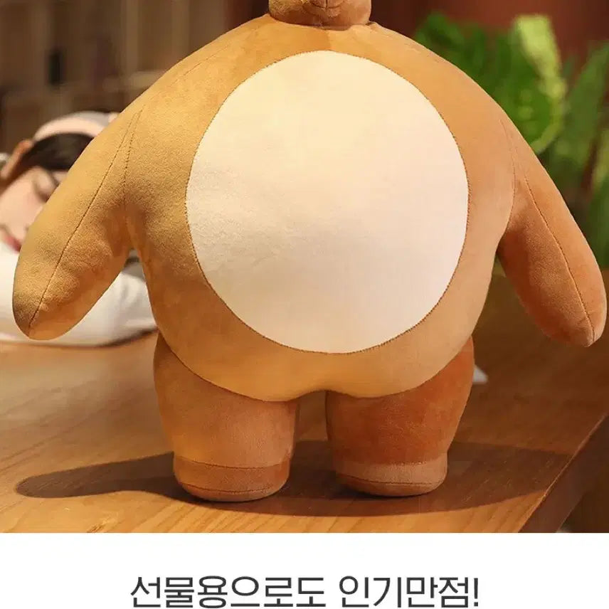 [BUNJANG] Small Head Bear Plush Doll / 소두곰 인형