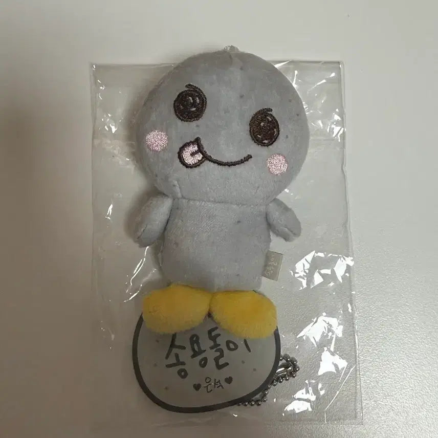 [BUNJANG] RIIZE Eunseok Dolli Plush 10cm / 라이즈 은석 인형 송용돌이 1기 10cm