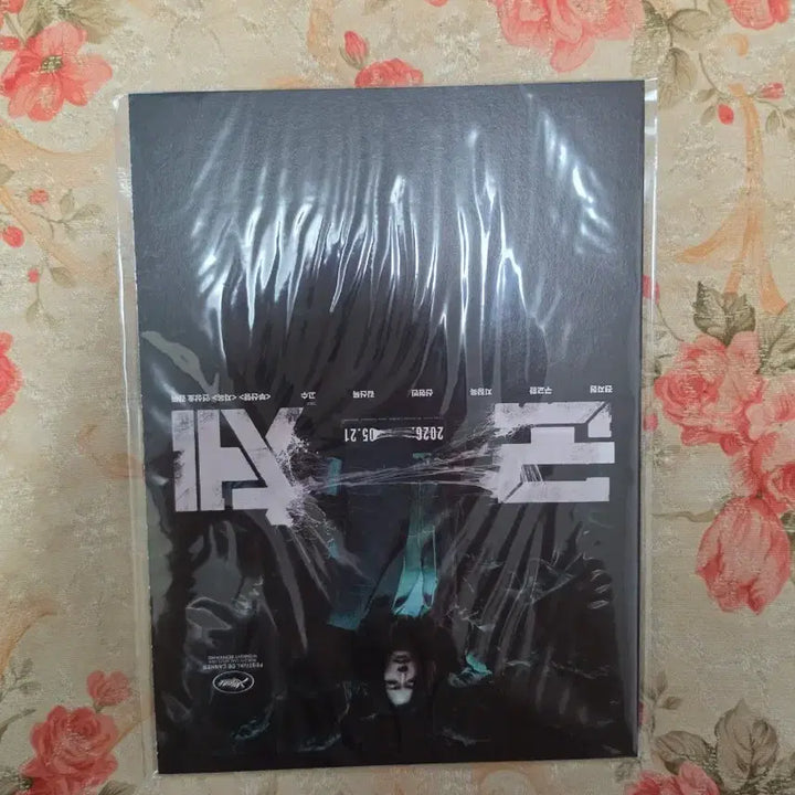 [BUNJANG] Junche Acopian Postcard / 군체 아코디언 엽서