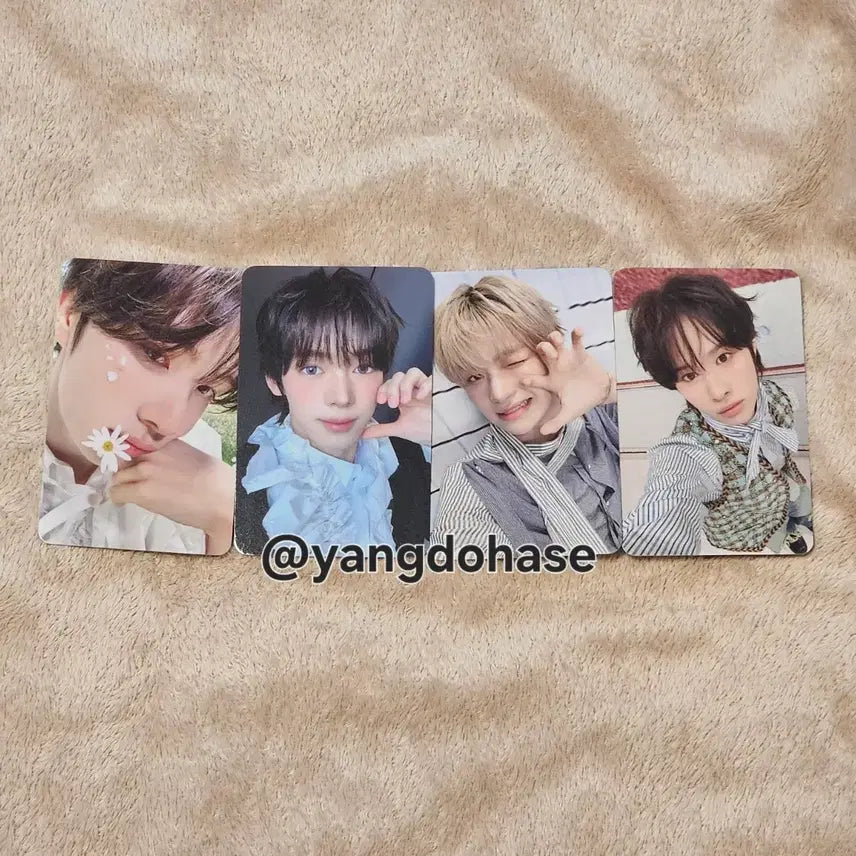 [BUNJANG] TWS Hello Live NO TRAGEDY Photocard Bundle Set / 투어스 포카 미공포 헬로라이브 4장 일괄