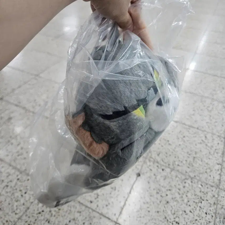 [BUNJANG] Tom and Jerry Ichiban Kuji Tom Plush / 톰과제리 제일복권 톰 인형