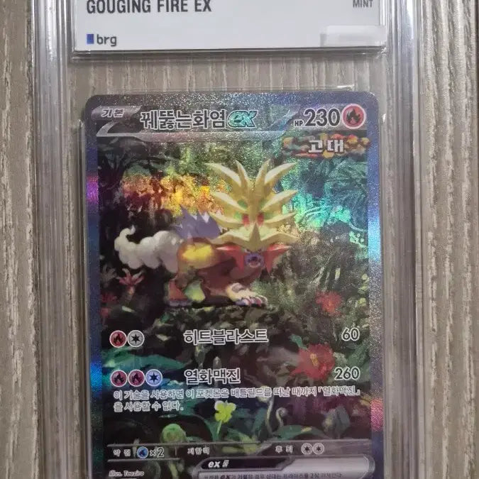 [BUNJANG] Pokemon Card Blazing Volcano EX SAR / 포켓몬카드 꿰뚫는화염 EX sar