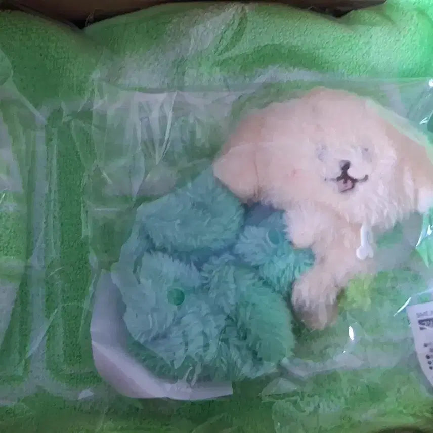 [BUNJANG] NCTWish Daengtriver Scrunchie (Sealed) / 미개봉 댕트리버 스크런치 판매