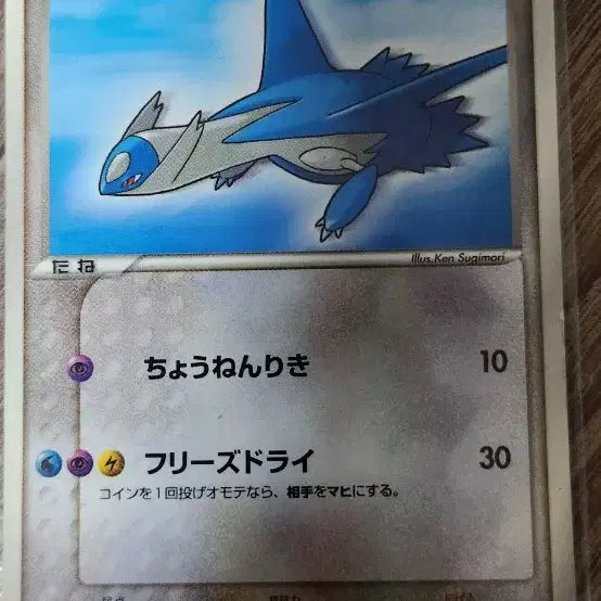 [BUNJANG] Pokemon Japanese Promotional Cards, 1st Edition, and Service Card Set / 일판 프로모카드 및  1st  그리고 서비스카드