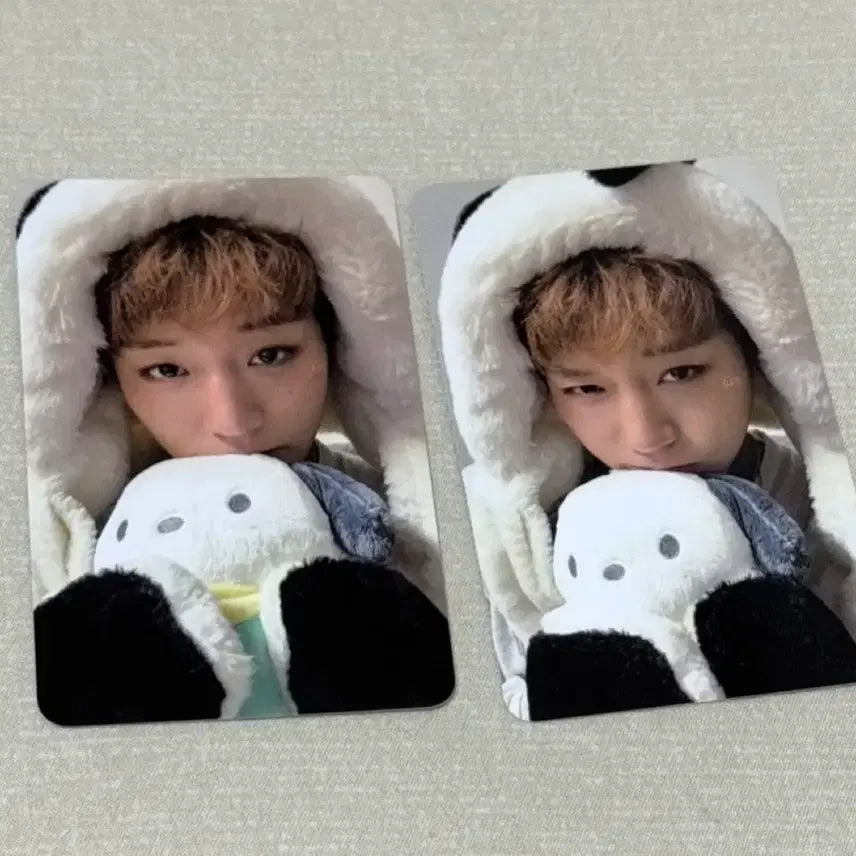 [BUNJANG] Park Ji Hoon Pochacco Photocard / 포토카드