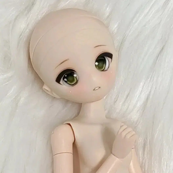 [BUNJANG] Parabox Akari Custom Doll Head for Obitsu &amp; Azone Pureneemo Bodies / 파라박스 아카리 헤드 오비츠 바디 호환 육일돌