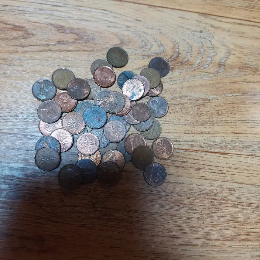 [BUNJANG] Foreign Coin Collection (84 pcs) / 외국동전(84개)