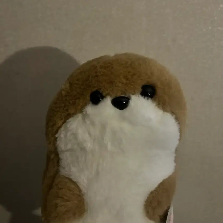 [BUNJANG] Otter Plush Doll / 수달 인형