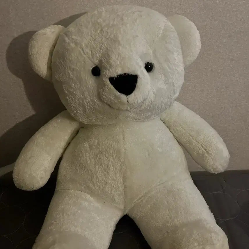 [BUNJANG] Large Plush Teddy Bear / 큰 곰인형