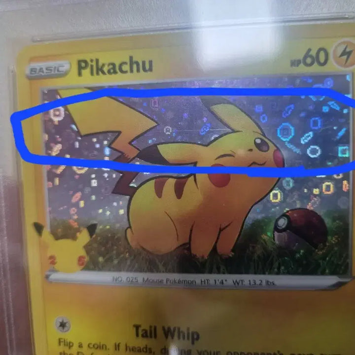 [BUNJANG] Pokemon Card North American English Edition 25th Anniversary Pikachu PSA 9 / 포켓몬카드 북미 영문판 25주년 기념 피카츄 PSA9 [내용 확인]