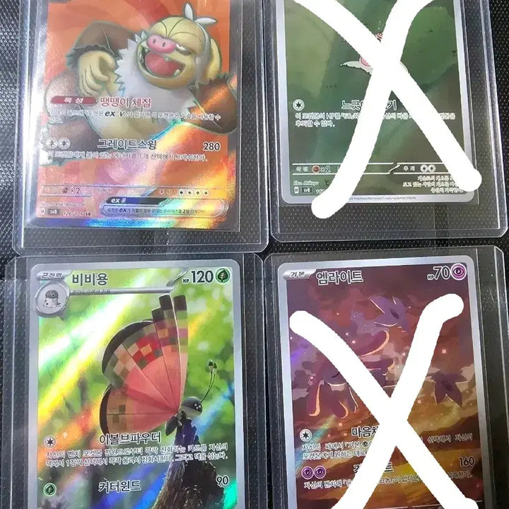 [BUNJANG] Pokemon Cards - Numel, Camerupt, Spinda, Emly / 포켓몬 카드 게을로, 게을킹, 비비용, 엠라이트