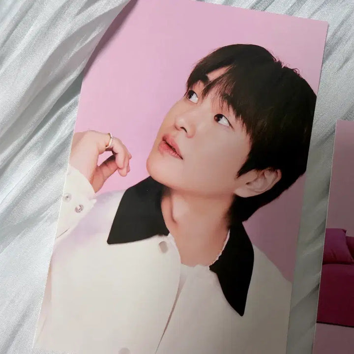 [BUNJANG] SHINee SM 30th Anniversary Postcard Bundle Set / sm30주년 샤이니 엽서 일괄