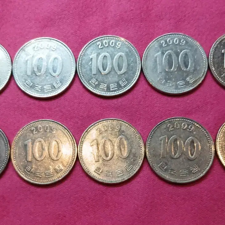 [BUNJANG] 2009 100 KRW Coin Bundle Set (10 pcs) / 2009년 100원 동전 10개 일괄