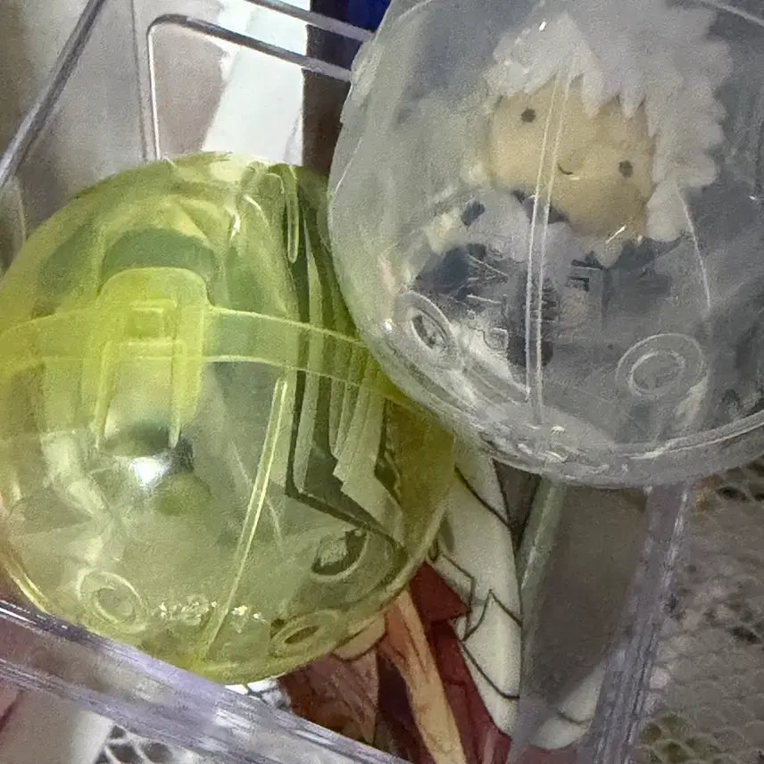 [BUNJANG] Hunter x Hunter Kaito &amp; Killua Seal Accessories Bundle Set / 헌터헌터 메지루시 악세사리 카이토 키르아 양도