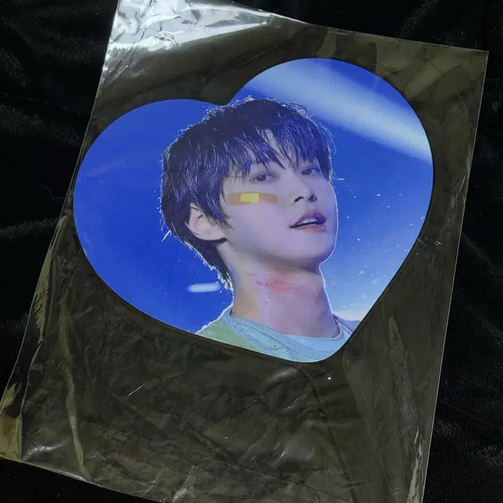 [SOLD OUT] 도영 우치와 양도