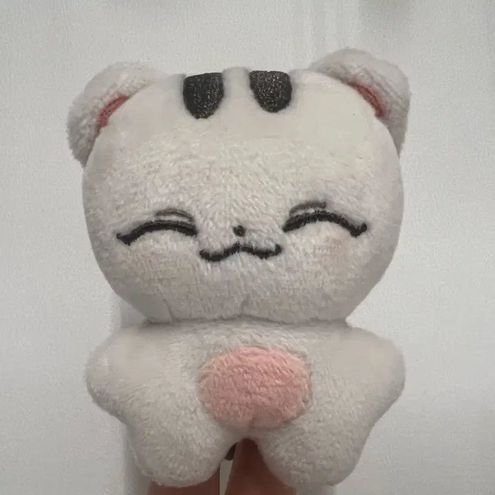 [BUNJANG] SEVENTEEN Doll JOSHUA Shruamji / 세븐틴 인형 슈람지 조슈아