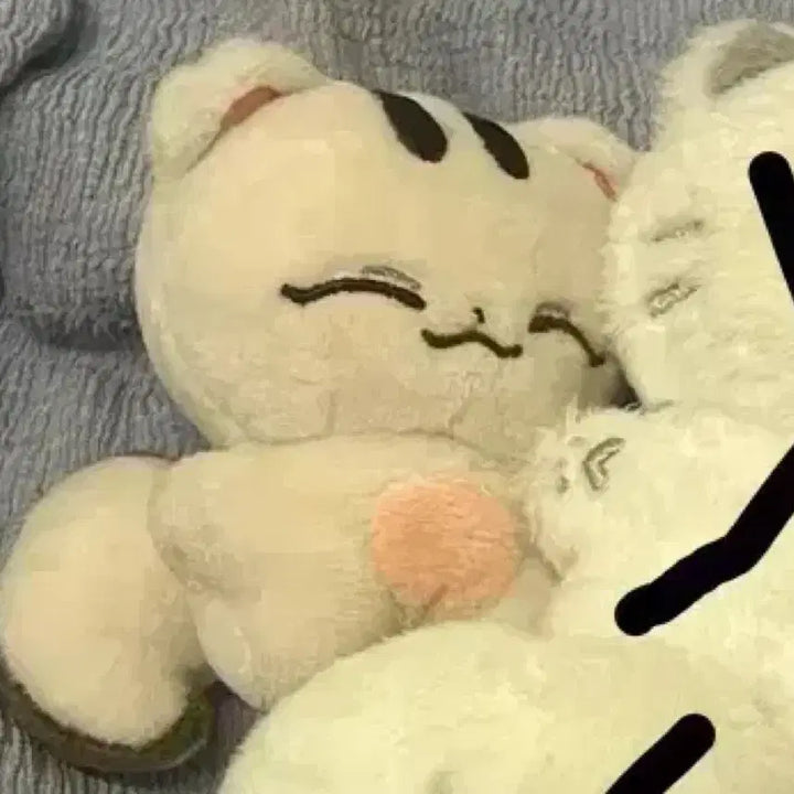 [BUNJANG] SEVENTEEN Doll JOSHUA Shruamji / 세븐틴 인형 슈람지 조슈아