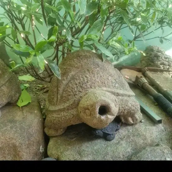 [BUNJANG] Antique Stone Turtle Pair (30cm) / 37   30 센치골동품수석거북이한쌍