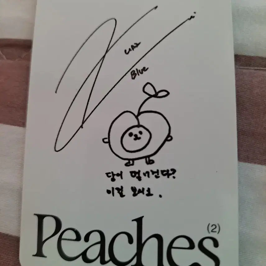 [BUNJANG] EXO Kai Photocard / 엑소 카이 포토카드