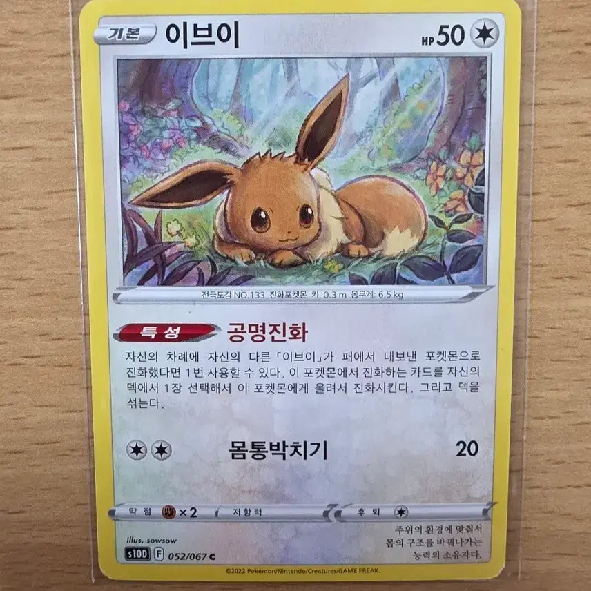 [BUNJANG] Eevee Illustration Pokemon Card / 일러스트 예쁜 이브이 데려가세요 초귀여움주의