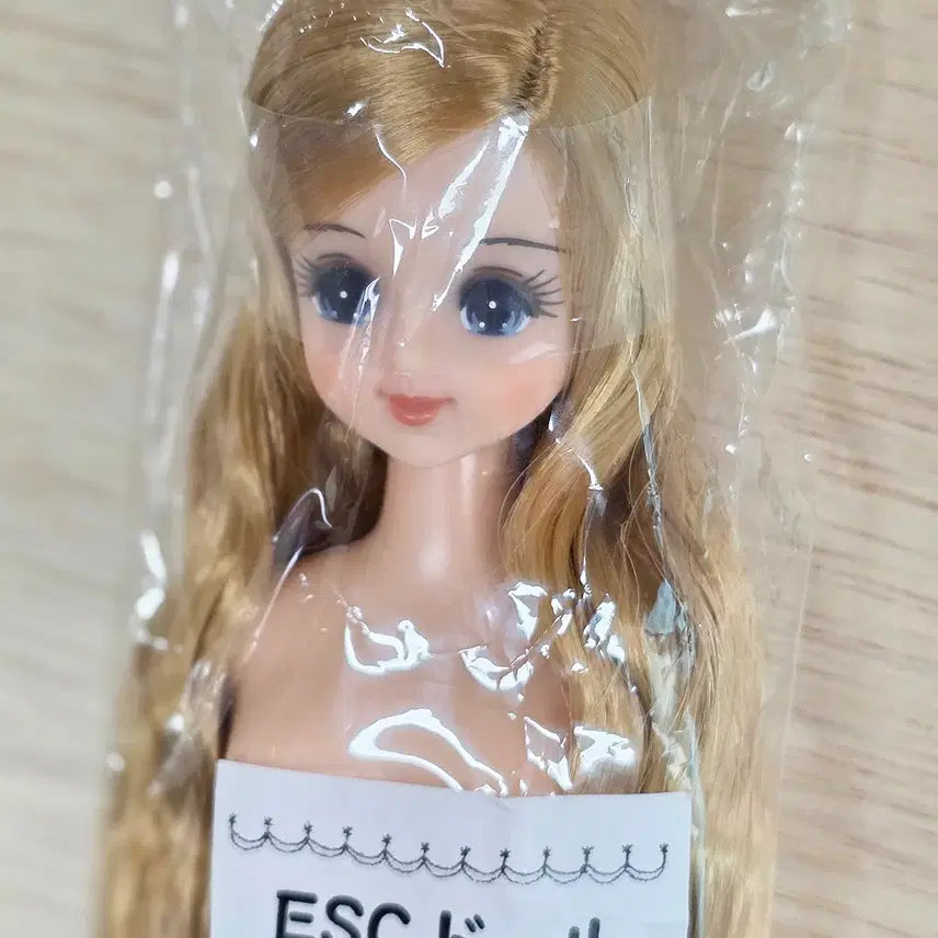[BUNJANG] Licca Castle Otano Shimido Jenny Friend Marine Doll (Sealed) / liccacastle 리카캐슬 오타노시미돌 제니프렌드 마린 미개봉