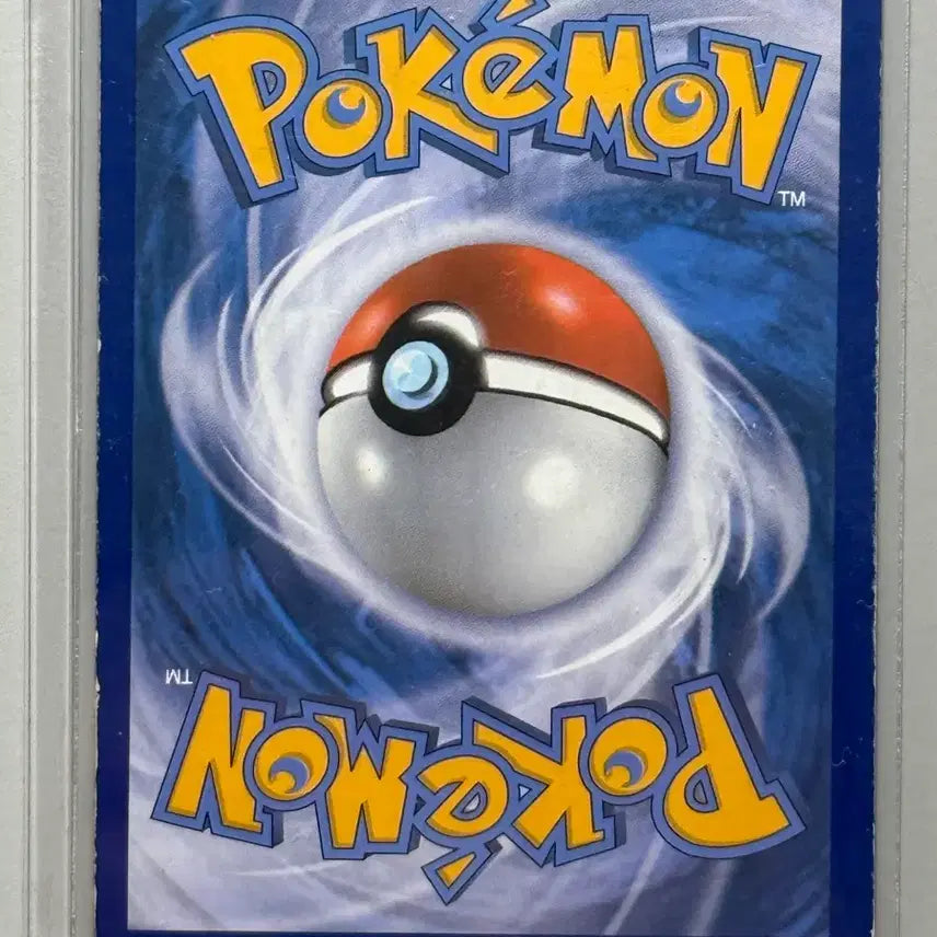 [BUNJANG] Pikachu &amp; Charizard North American Edition / 북미 피카츄 리자몽