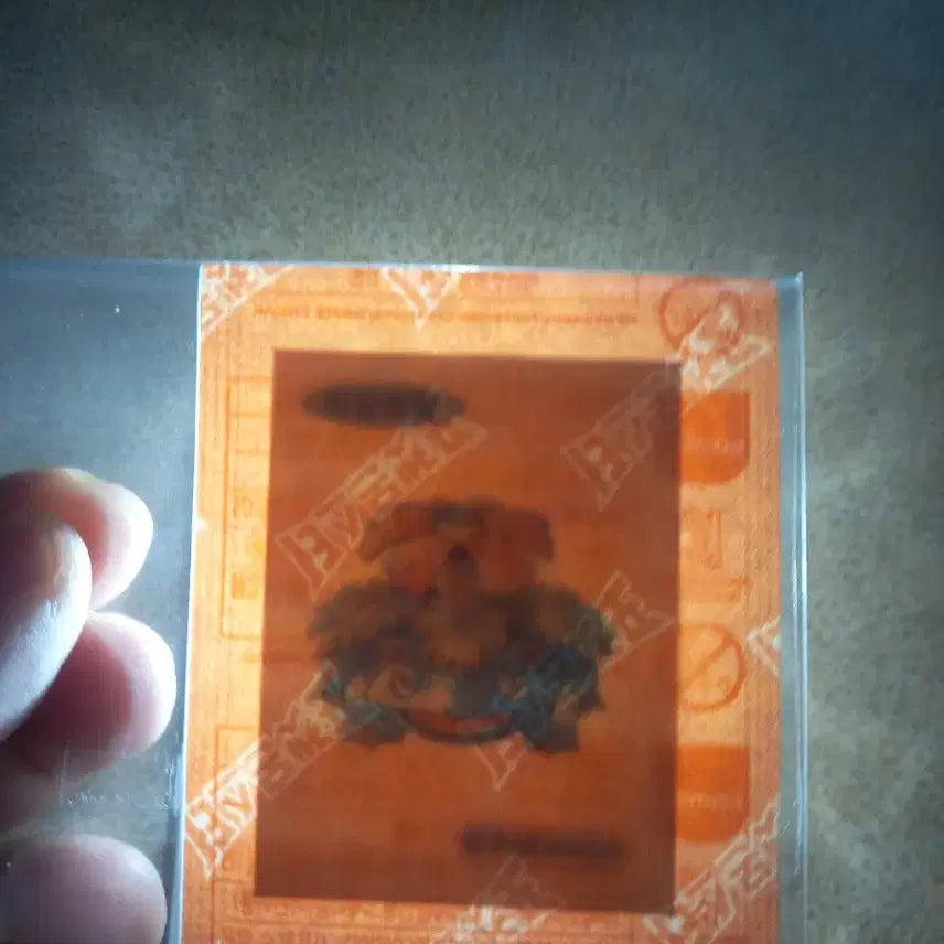 [BUNJANG] Pokemon 30th Anniversary Venusaur Bundle Set / 포켓몬 30주년 이상해씨.이상해꽃일괄