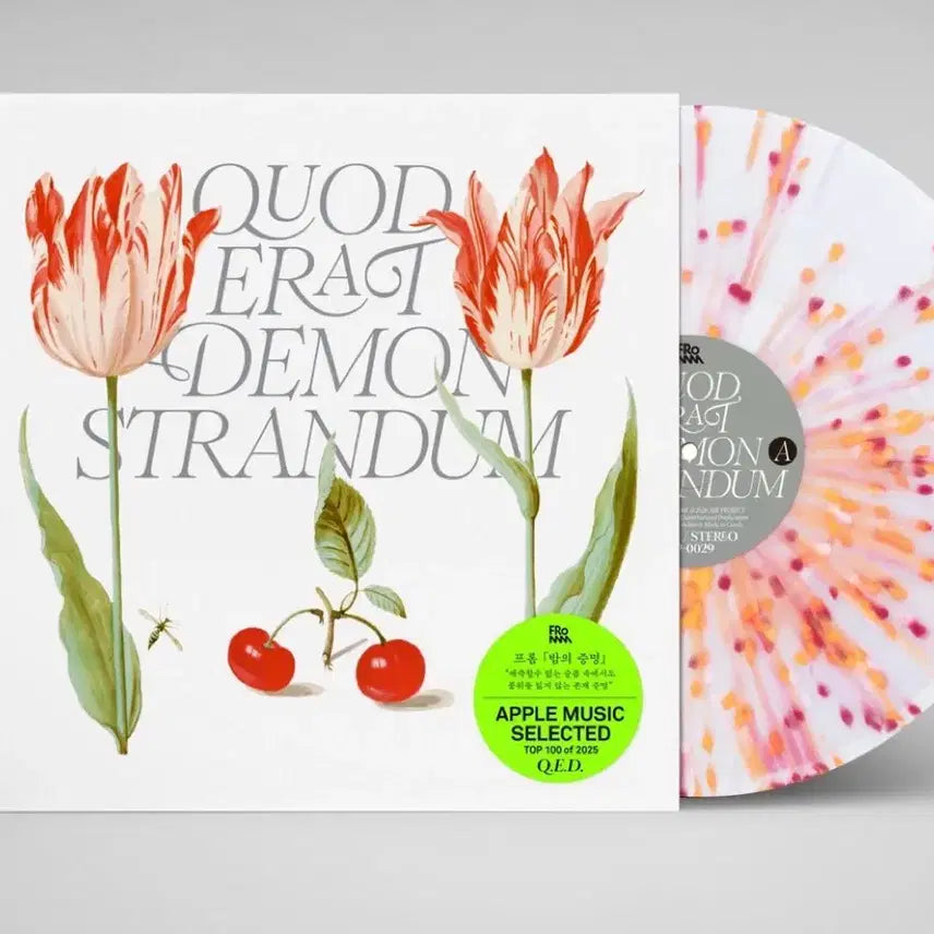 [BUNJANG] FROMM Q.E.D. Vinyl LP / 프롬 - Q.E.D (Vinyl) LP