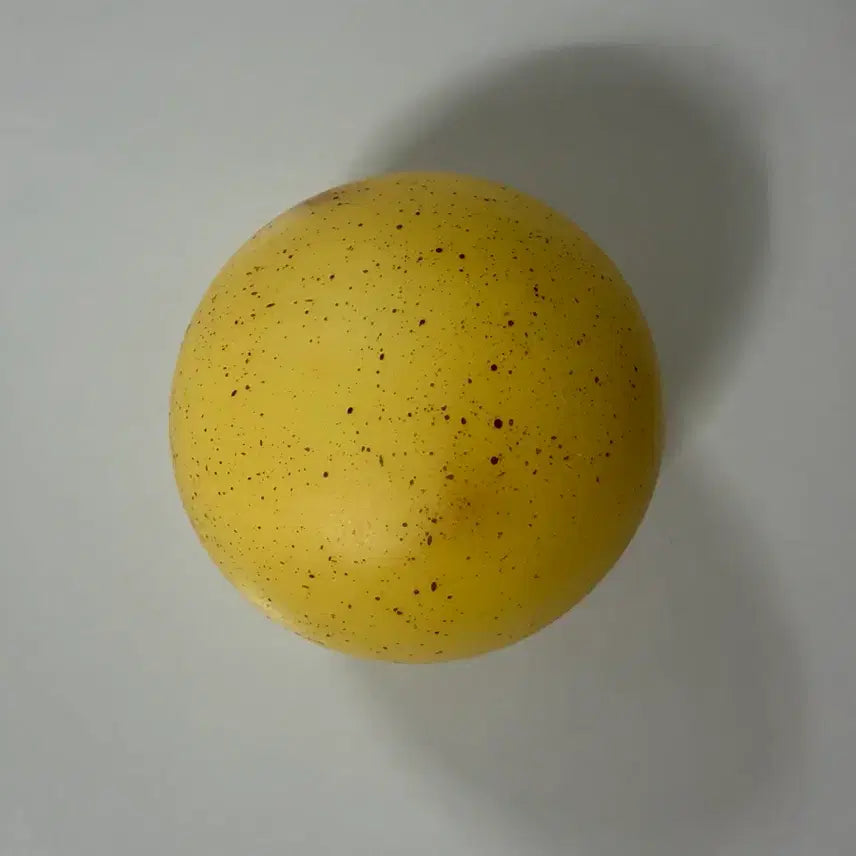 [BUNJANG] Apple Squishy + Potato Bread Squishy Bundle Set / (일괄) 사과 말랑이 + 감자빵 말랑이