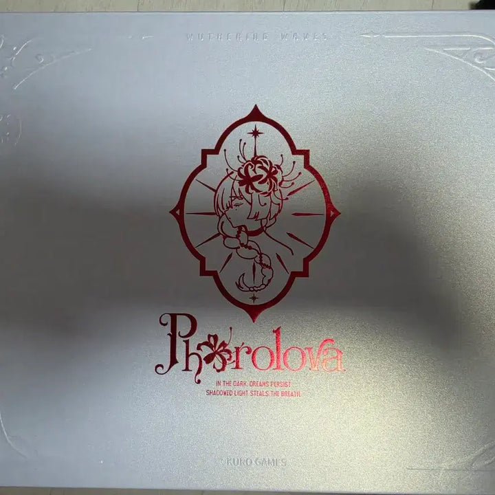 [BUNJANG] FLORO Official Package Goods Bundle Set / 플로로 공식패키지굿즈 일부 팝니다