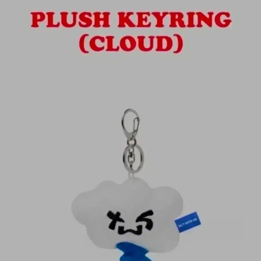 [BUNJANG] TWS TOOMEE Kiring Keychain / 새상품) 투어스 투름이 키링 판매합니다