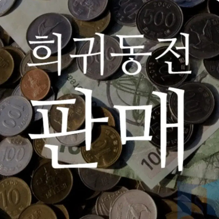 [BUNJANG] Rare Year Coin Bundle / 1982년 최초년도 500원동전