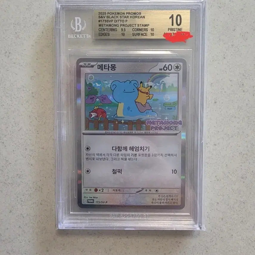 [BUNJANG] Pokemon Ditto BGS 10 Pristine Graded Card / 포켓몬 메타몽  BGS 10 프리스틴 등급 팝니다.