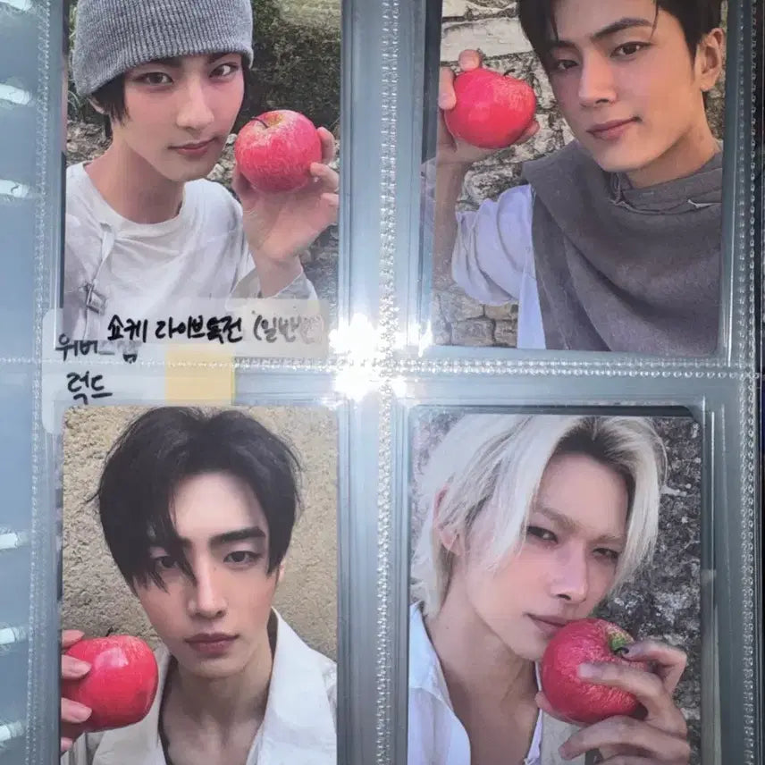 [BUNJANG] The Sin Vanish Live Special Edition Photocard / The sin vanish 쇼케 라이브특전(일반반) 양도