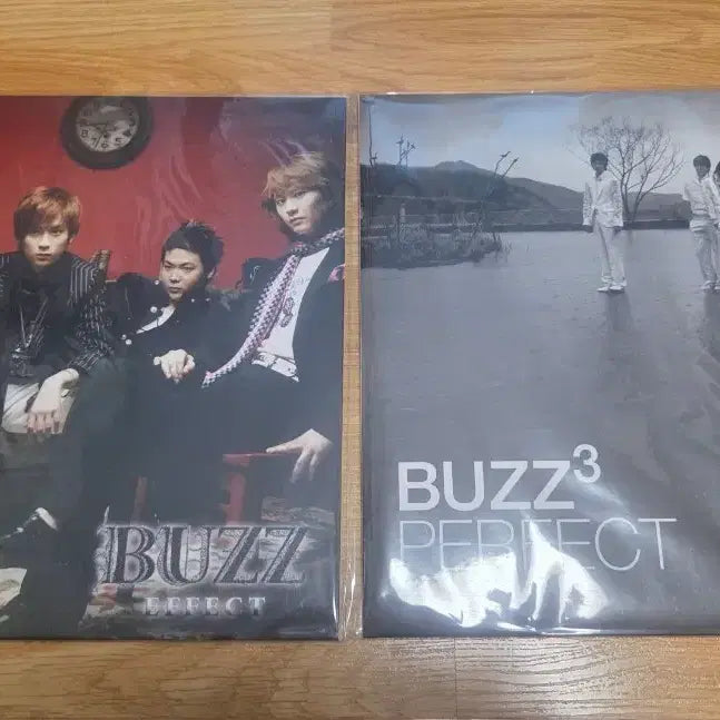 [BUNJANG] Buzz 2nd &amp; 3rd Album Effect / Perfect 2LP Set / 버즈 2집, 3집 Effect / Perfect 2LP